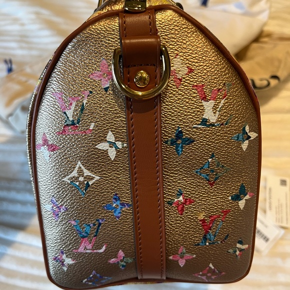 Louis Vuitton Garden Speedy 25 - Picture 10 of 17